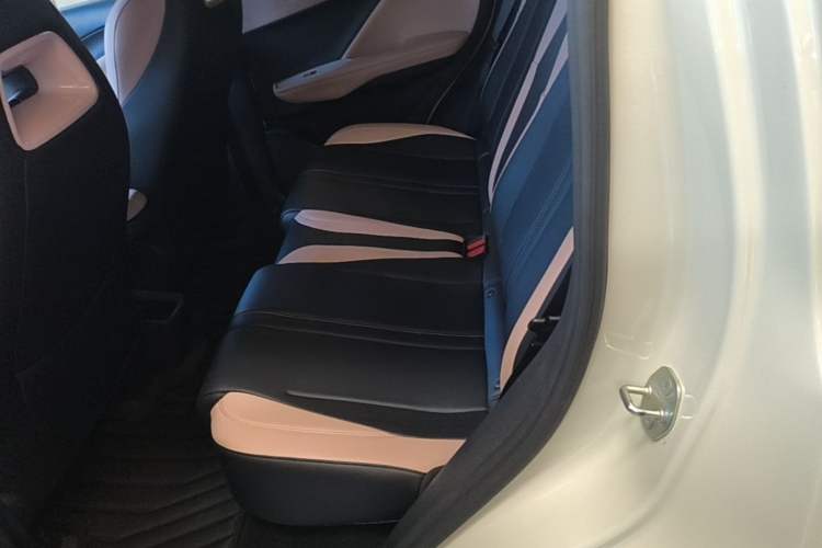 Used BYD Seagull 2025 Smart Drive Version 305 km Freedom Edition Left Rear Seat