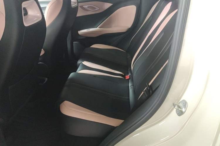 Used BYD Seagull 2025 Smart Drive Version 305 km Freedom Edition Left Rear Seat