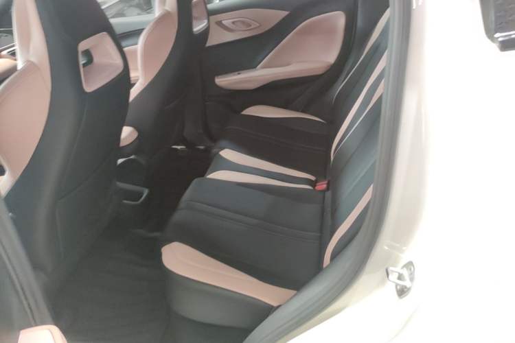 Used BYD Seagull 2025 Intelligent Driving Version 305 km Dynamic Edition Left Rear Seat