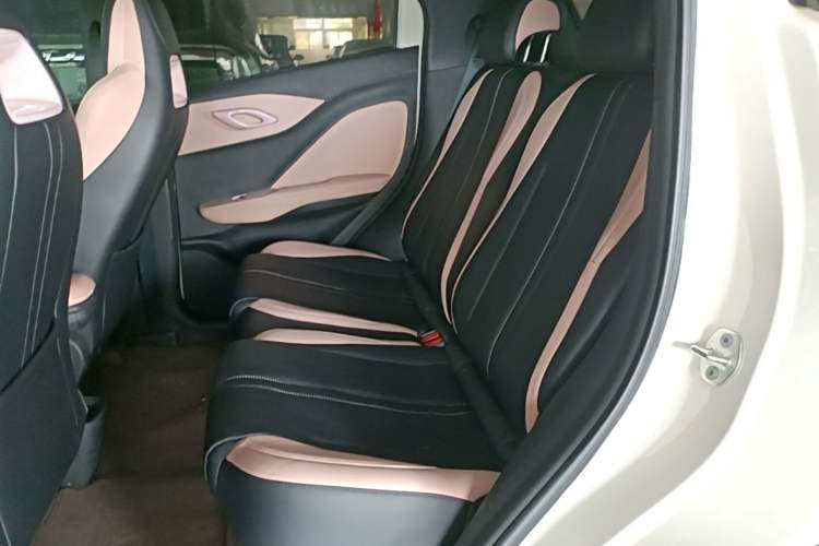 Used BYD Seagull 2025 305 km Free Version Left Rear Seat