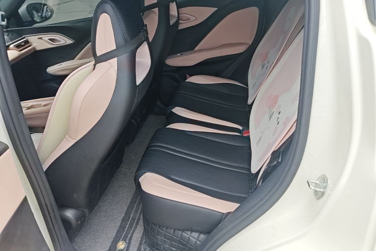 Used BYD Seagull 2025 Smart Drive Version 305 km Freedom Edition Left Rear Seat