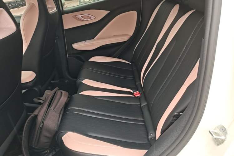 Used BYD Seagull 2025 Intelligent Driving Version 305 km Dynamic Edition Left Rear Seat