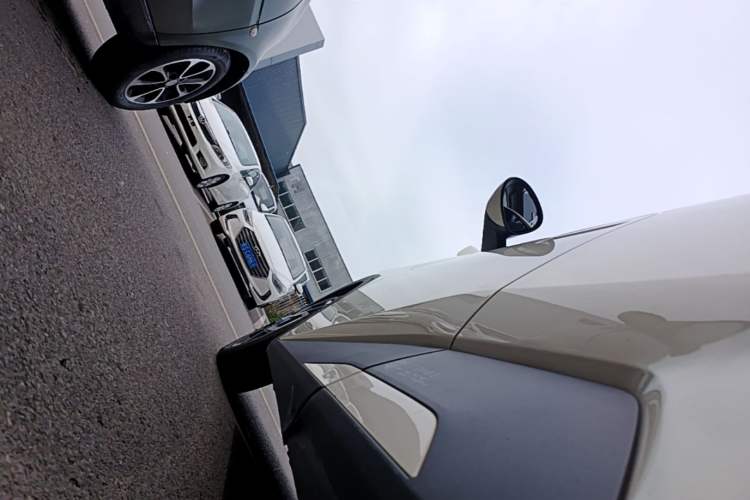 Used BYD Seagull 2025 405 km Flying Edition Left Side Sill