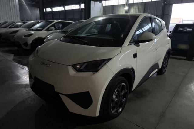 Used BYD Seagull 2025 Smart Drive Version 305 km Freedom Edition