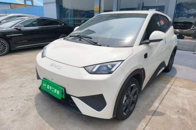 Used BYD Seagull 2025 Smart Drive Version 305 km Freedom Edition