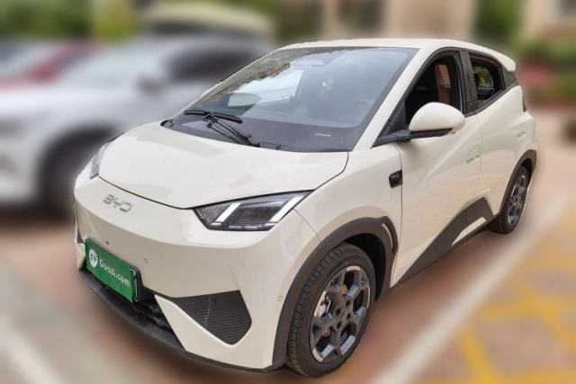 Used BYD Seagull 2025 Smart Drive Version 305 km Freedom Edition