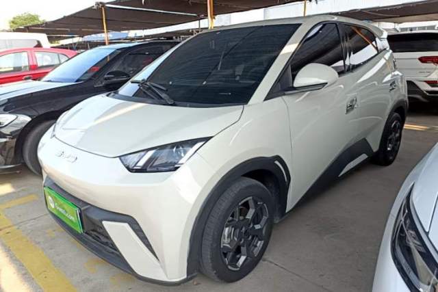 BYD Seagull 2025 305km Active Version usado