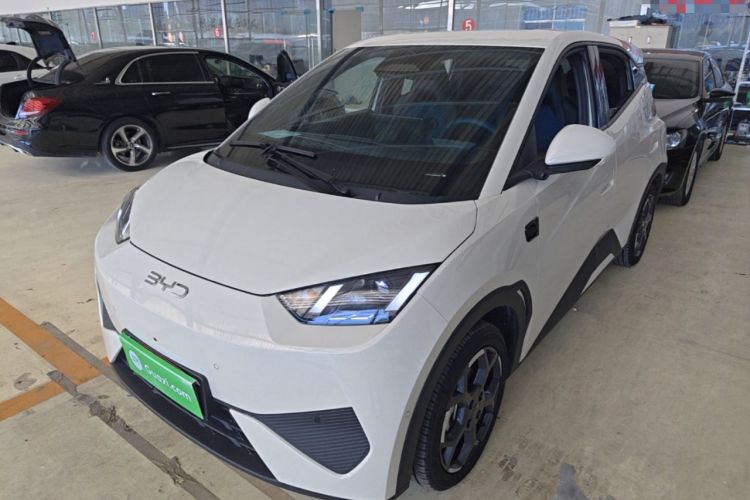 BYD Seagull 2025 Smart Drive Version 305 km Freedom Edition