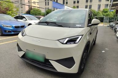 Used BYD Seagull 2025 Smart Drive Version 305 km Freedom Edition