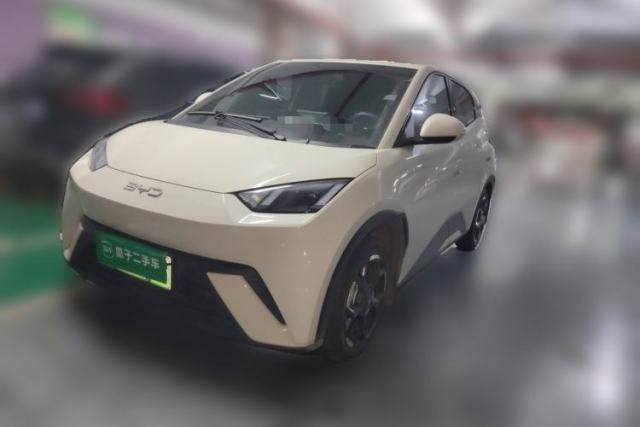 Used BYD Seagull 2025 305 km Free Version