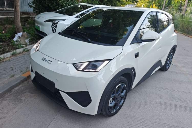 Used BYD Seagull 2025 Smart Drive Version 305 km Freedom Edition Guazi used car, China used car export, Used car for sale, Used  cars, Cheapest cars for sale