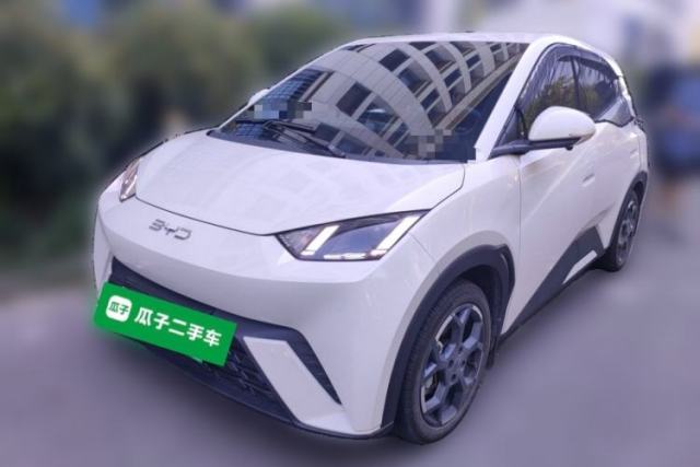 Used BYD Seagull 2025 305 km Free Version