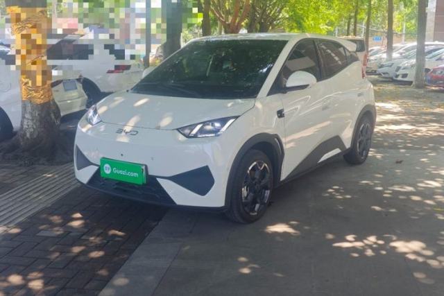 Used BYD Seagull 2025 Smart Drive Version 305 km Freedom Edition
