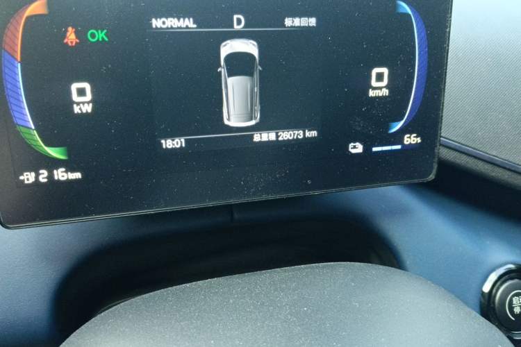 Used BYD Seagull 2025 305km Active Version Odometer Close Up