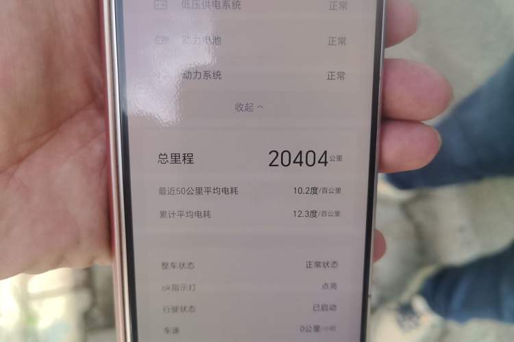 Used BYD Seagull 2025 305km Active Version Odometer Close Up