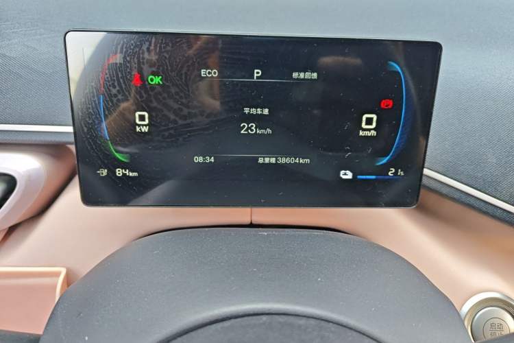 Used BYD Seagull 2025 305km Active Version Odometer Close Up