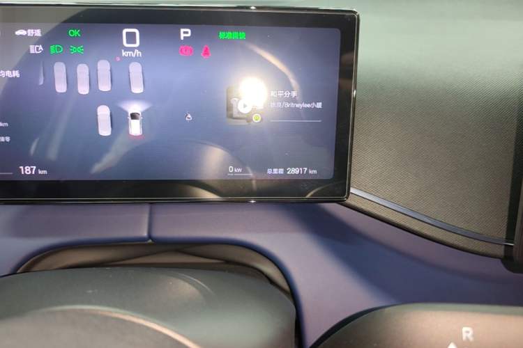 Used BYD Seagull 2025 Smart Drive Version 305 km Freedom Edition Odometer Close Up