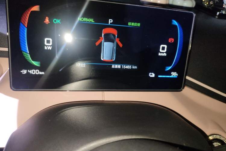 Used BYD Seagull 2025 405 km Flying Edition Odometer Close Up