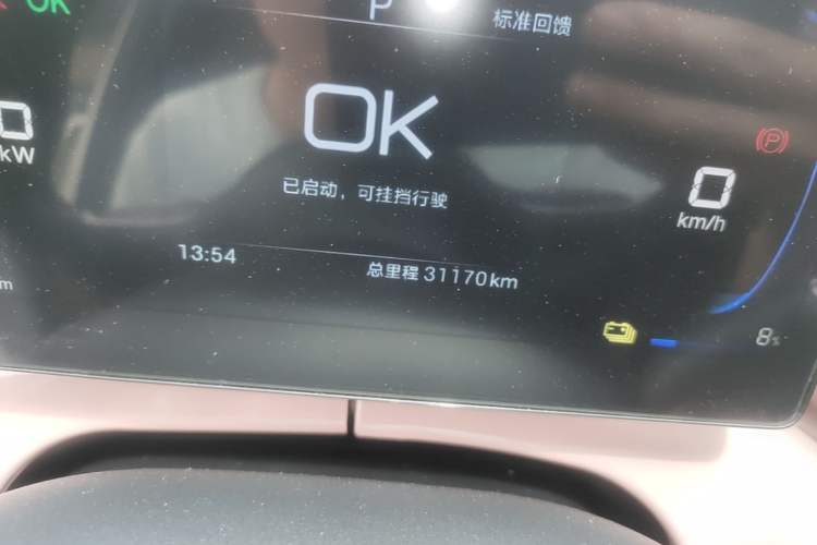 Used BYD Seagull 2025 305km Active Version Odometer Close Up
