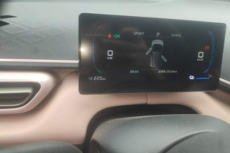 Used BYD Seagull 2025 305km Active Version Odometer Close Up