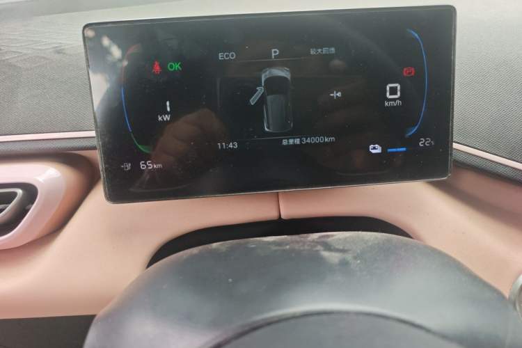Used BYD Seagull 2025 305km Active Version Odometer Close Up