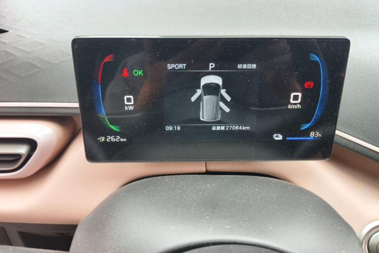 Used BYD Seagull 2025 305km Active Version Odometer Close Up