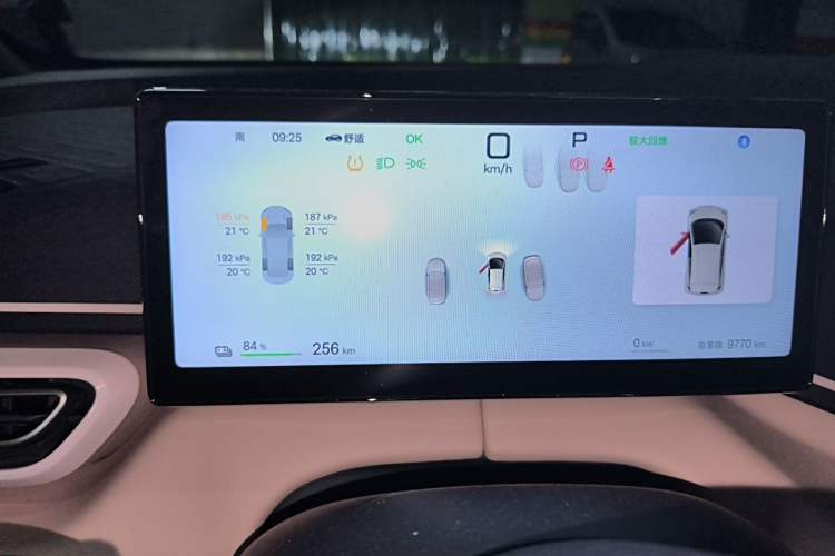 Used BYD Seagull 2025 Smart Drive Version 305 km Freedom Edition Odometer Close Up