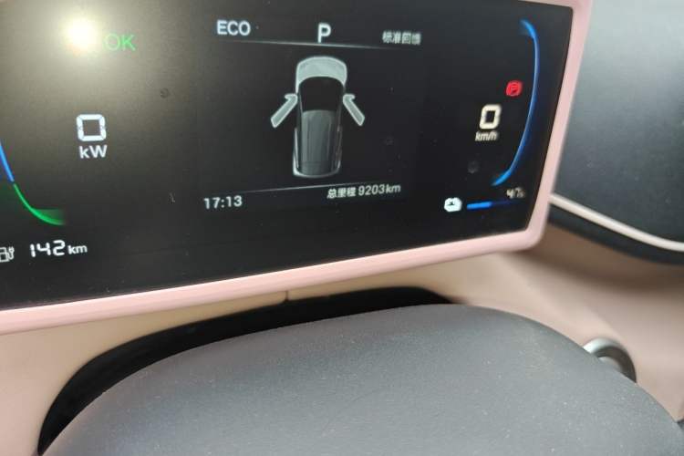 Used BYD Seagull 2025 305km Active Version Odometer Close Up