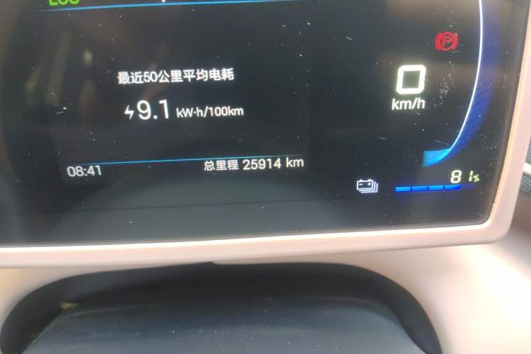 Used BYD Seagull 2025 Model Smart Drive Version 405km Free-Spirited Version Odometer Close Up