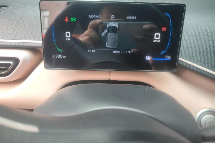 Used BYD Seagull 2025 305km Active Version Odometer Close Up