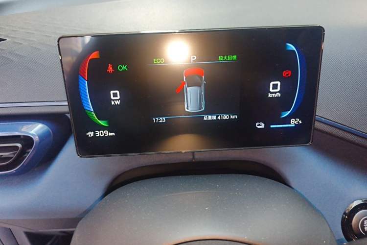 Used BYD Seagull 2025 405 km Flying Edition Odometer Close Up
