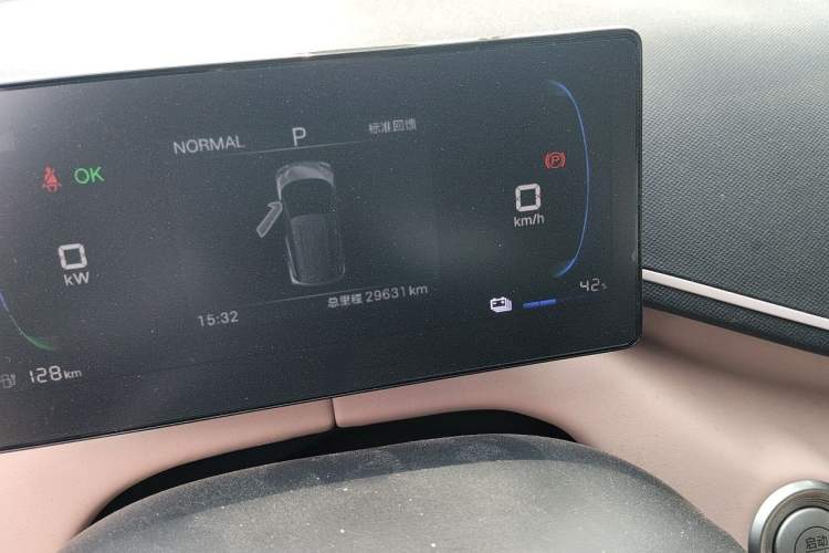 Used BYD Seagull 2025 305km Active Version Odometer Close Up