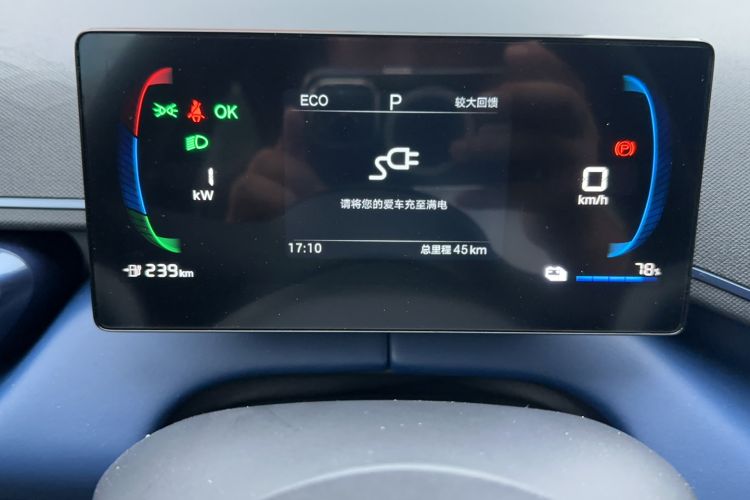 Used BYD Seagull 2025 Intelligent Driving Version 305 km Dynamic Edition Odometer Close Up