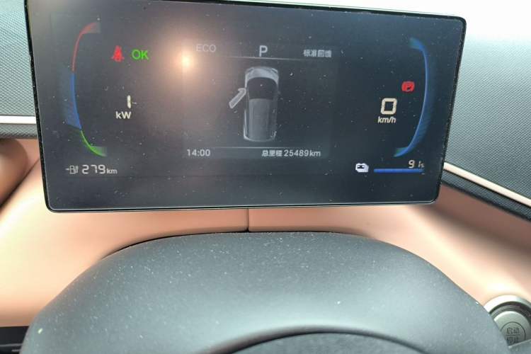 Used BYD Seagull 2025 305 km Free Version Odometer Close Up