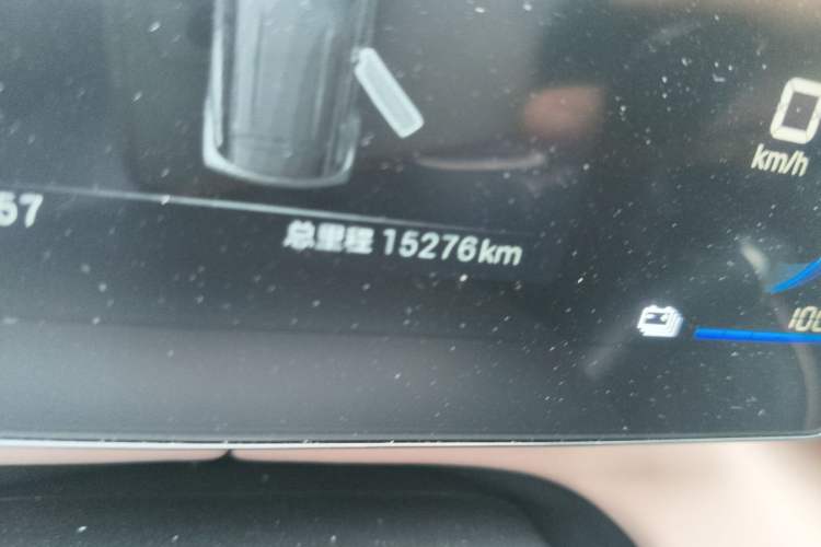 Used BYD Seagull 2025 305 km Free Version Odometer Close Up
