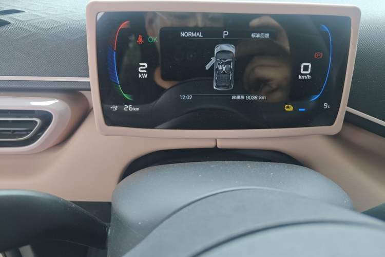 Used BYD Seagull 2025 Intelligent Driving Version 305 km Dynamic Edition Odometer Close Up