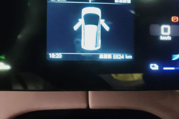 Used BYD Seagull 2025 305km Active Version Odometer Close Up
