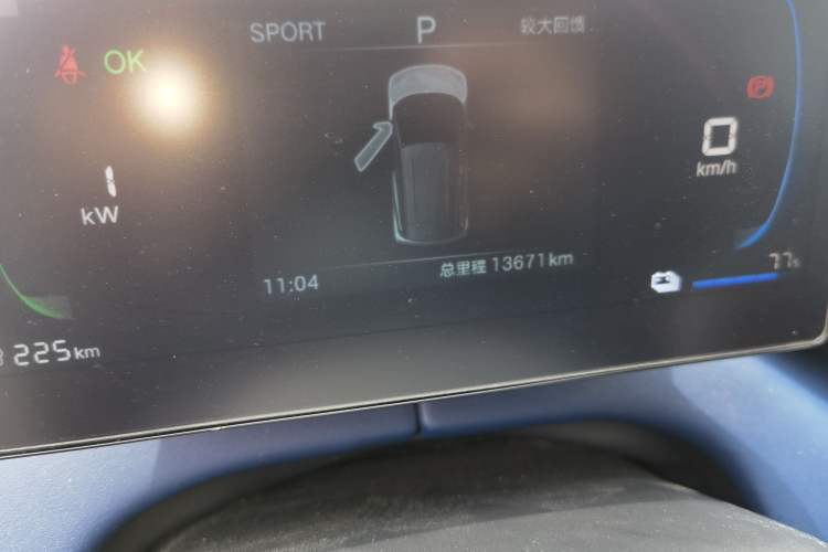 Used BYD Seagull 2025 Intelligent Driving Version 305 km Dynamic Edition Odometer Close Up