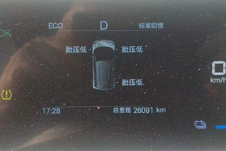 Used BYD Seagull 2025 305 km Free Version Odometer Close Up