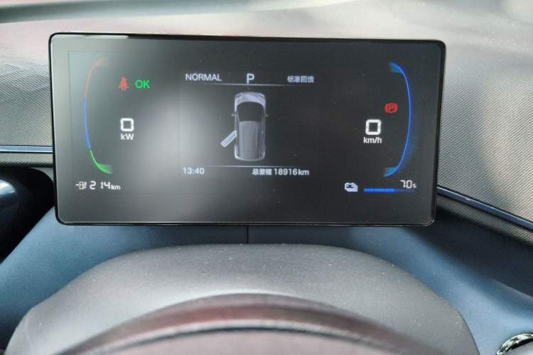 Used BYD Seagull 2025 305km Active Version Odometer Close Up