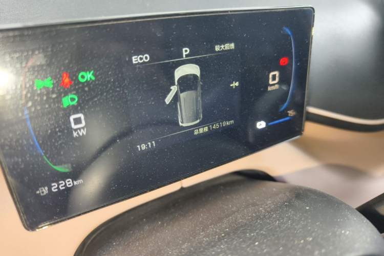 Used BYD Seagull 2025 Intelligent Driving Version 305 km Dynamic Edition Odometer Close Up