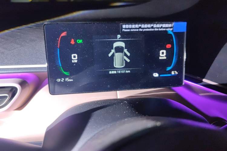 Used BYD Seagull 2025 305 km Free Version Odometer Close Up