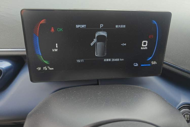 Used BYD Seagull 2025 305 km Free Version Odometer Close Up