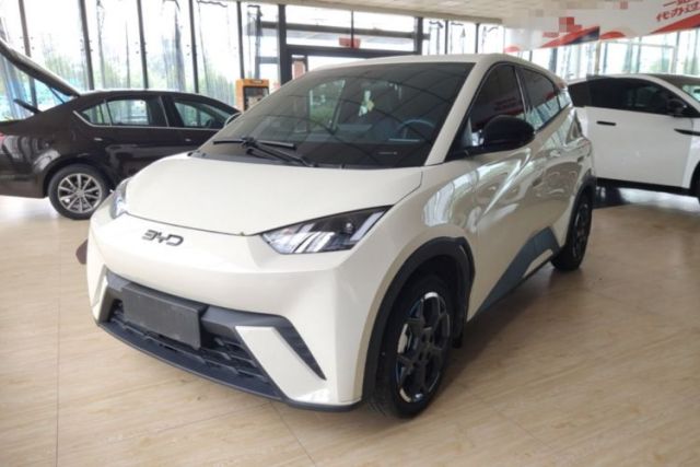 Used BYD Seagull 2025 305 km Free Version