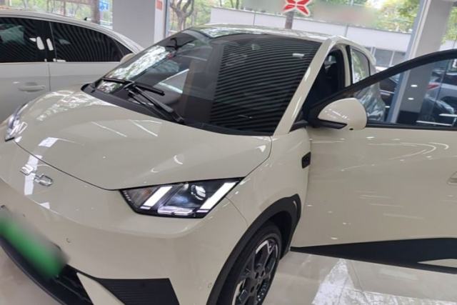 Used BYD Seagull 2025 Smart Drive Version 305 km Freedom Edition