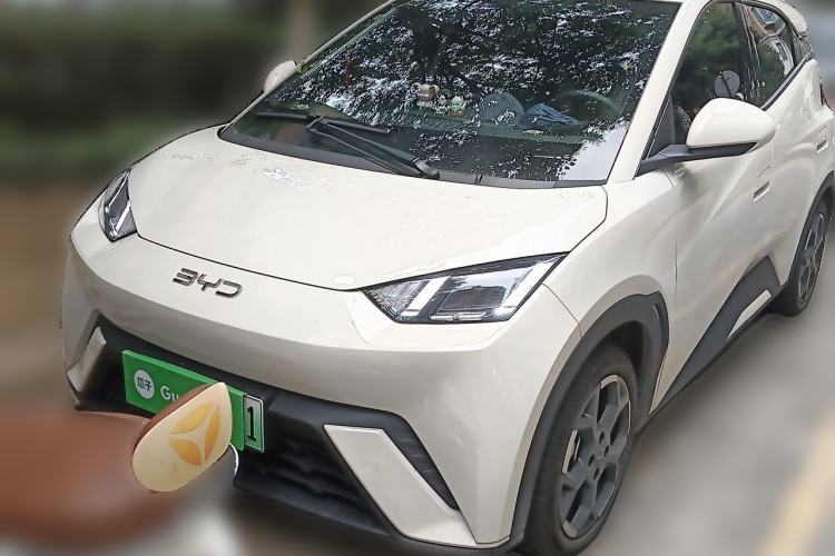 Used BYD Seagull 2025 305 km Free Version Guazi used car, China used car export, Used car for sale, Used  cars, Cheapest cars for sale