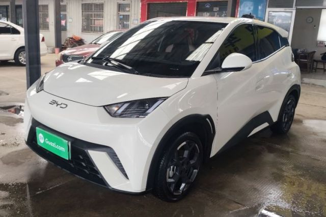 Used BYD Seagull 2025 305 km Free Version