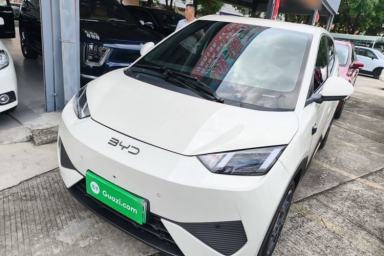 Used BYD Seagull 2025 Smart Drive Version 305 km Freedom Edition
