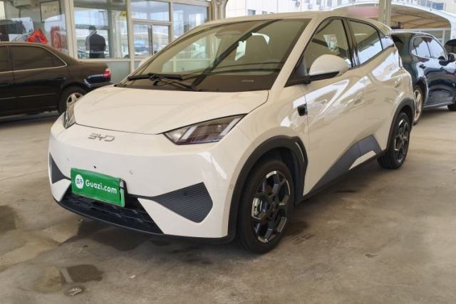 Used BYD Seagull 2025 Smart Drive Version 305 km Freedom Edition