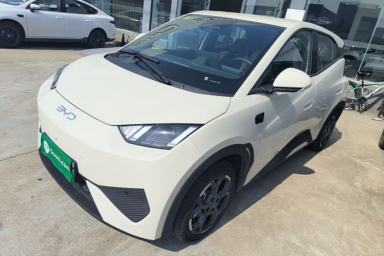 Used BYD Seagull 2025 Smart Drive Version 305 km Freedom Edition